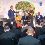Beyond the carbon credit: Who sets the terms for Africa’s carbon markets?